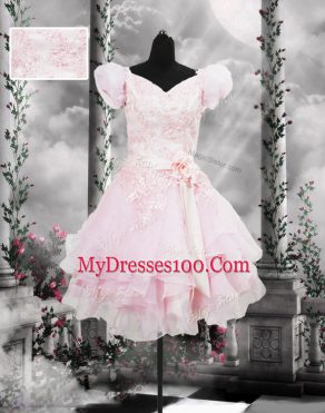 Gorgeous Knee Length A-line Short Sleeves Baby Pink Homecoming Dress Lace Up
