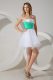 Amazing Mini Length A-line Sleeveless White Dama Dress for Quinceanera Zipper