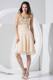 Champagne Prom Cocktail Dress With Sequin V-neck for Cheap 2013