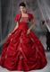 Red Ball Gown with Pick-ups and Appliques Dress for Sweet 15