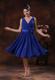 Roral Blue V-neck Dama Dresses For Quinceanera With Flowers Ruche