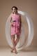 Rose Pink Sheath V-neck Ruche 2013 Dama Dresses For Quinceanera