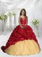 Spaghetti Straps Pick Ups Mini Quinceanera Dress with Sweep Train