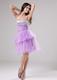 Lovely Lavender Princess Strapless Beading Cocktail Dresses In 2013