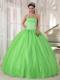 Spring Green Ball Gown Appliques Strapless Quinceanera Dress