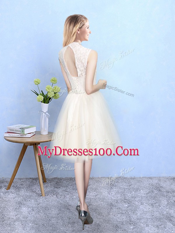 V-neck Sleeveless Lace Up Court Dresses for Sweet 16 Champagne Tulle