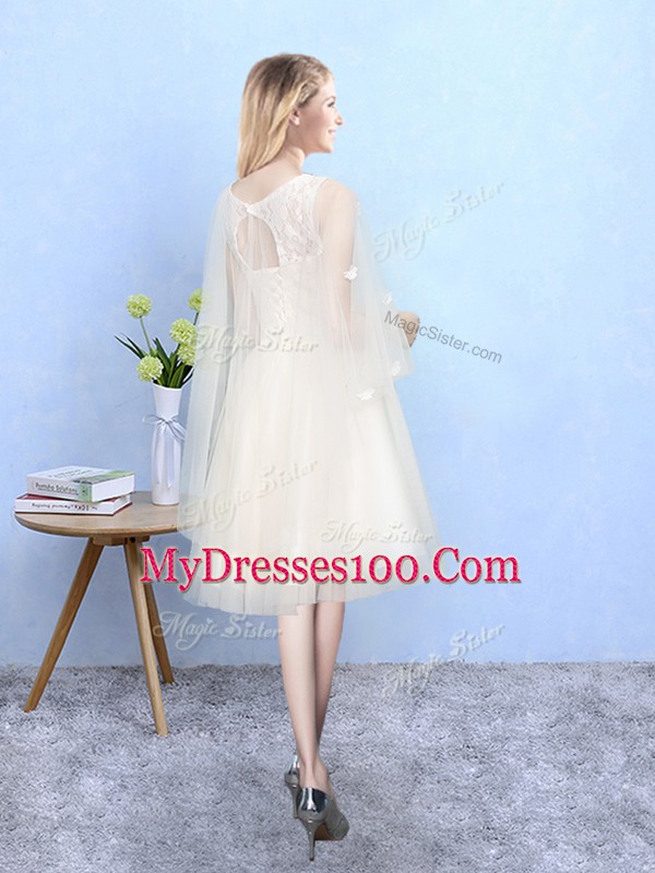 Suitable Champagne Square Lace Up Lace Quinceanera Court of Honor Dress Half Sleeves