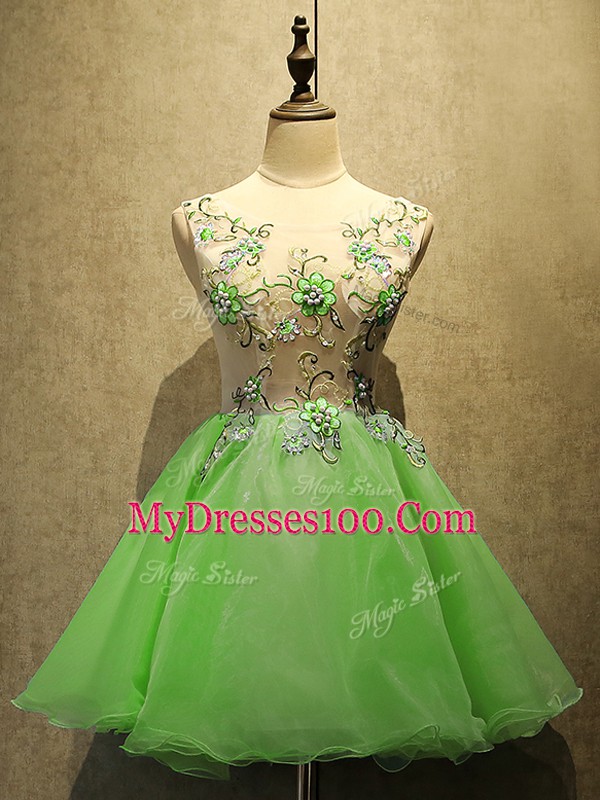 Lace Up Prom Evening Gown Embroidery Sleeveless Mini Length