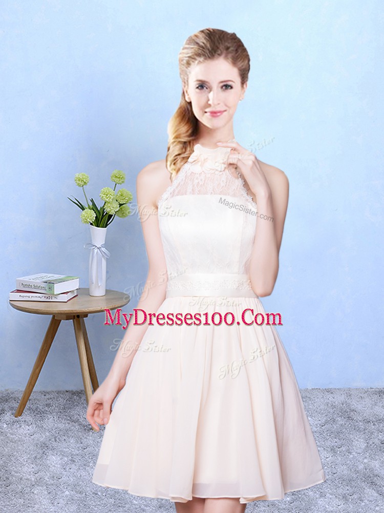 Vintage Sleeveless Lace Lace Up Dama Dress for Quinceanera