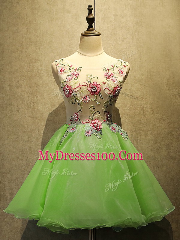Superior Lace Up Dress for Prom Embroidery Sleeveless Mini Length