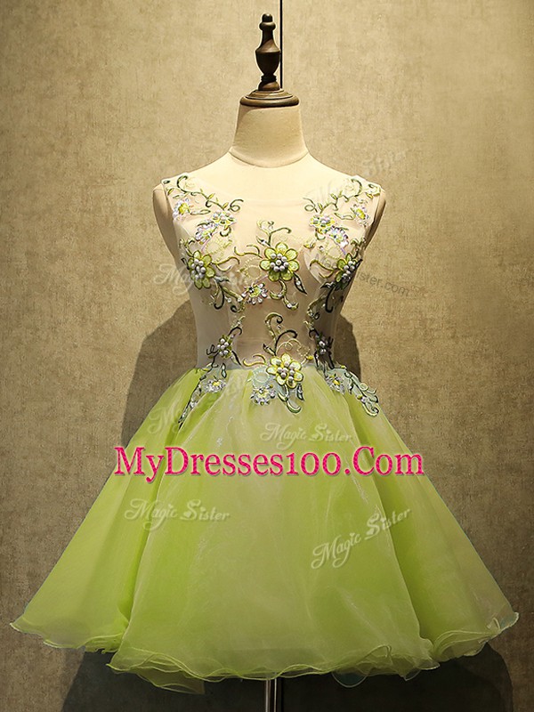 Scoop Sleeveless Organza Prom Gown Embroidery Lace Up