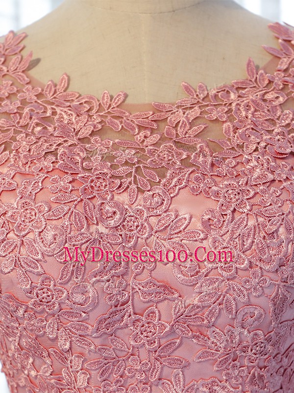 Popular Pink Tulle Lace Up Quinceanera Court Dresses Half Sleeves Floor Length Lace