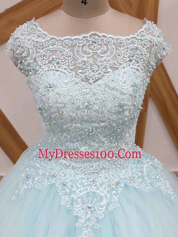 Ball Gowns Sleeveless Light Blue 15 Quinceanera Dress Brush Train Zipper