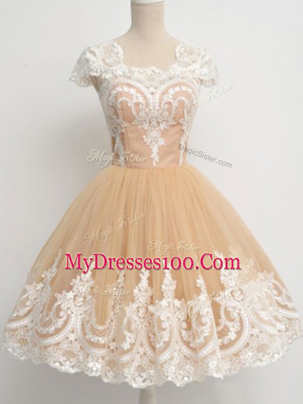 Captivating Lace Vestidos de Damas Champagne Zipper Cap Sleeves Knee Length