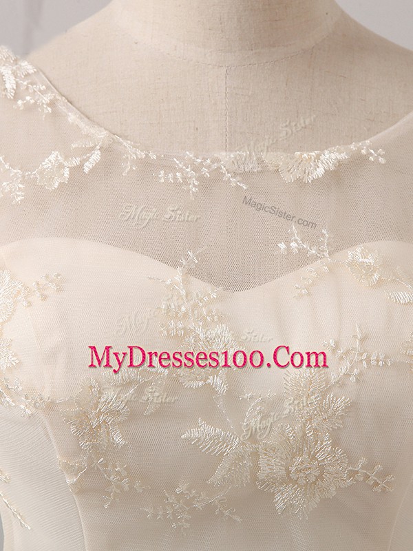 Sexy Champagne A-line Lace and Belt Court Dresses for Sweet 16 Lace Up Tulle Half Sleeves Mini Length