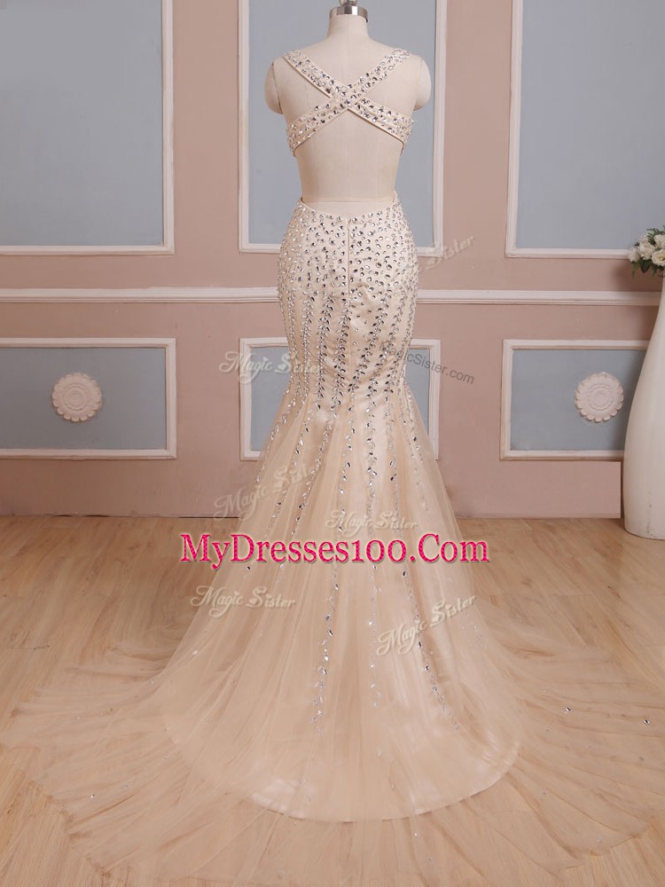 High Class V-neck Sleeveless Brush Train Criss Cross Dress for Prom Champagne Tulle