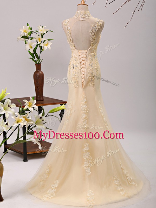 3 4 Length Sleeve Beading and Lace and Appliques Lace Up Mother of Bride Dresses with Champagne Brush Train