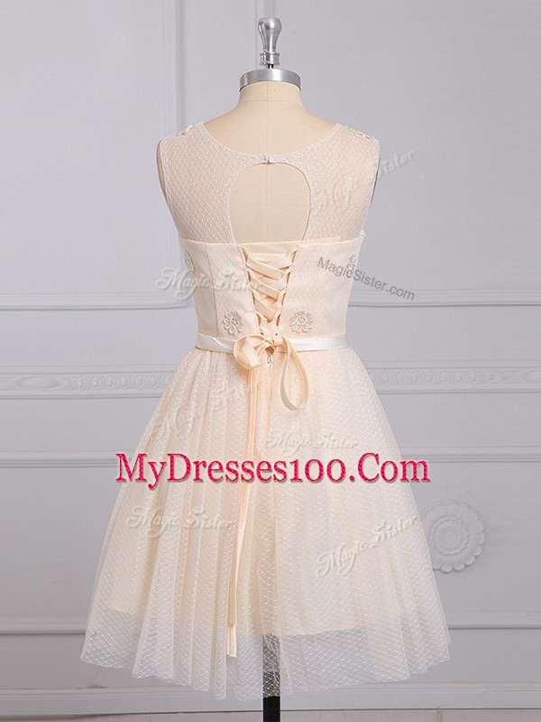 Champagne Lace Lace Up Wedding Guest Dresses Sleeveless Mini Length Appliques and Belt