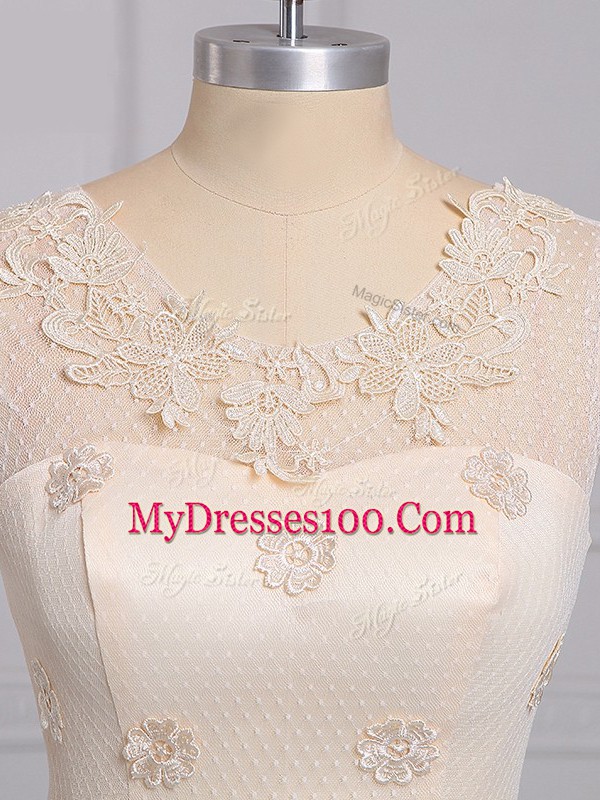 Champagne Lace Lace Up Wedding Guest Dresses Sleeveless Mini Length Appliques and Belt