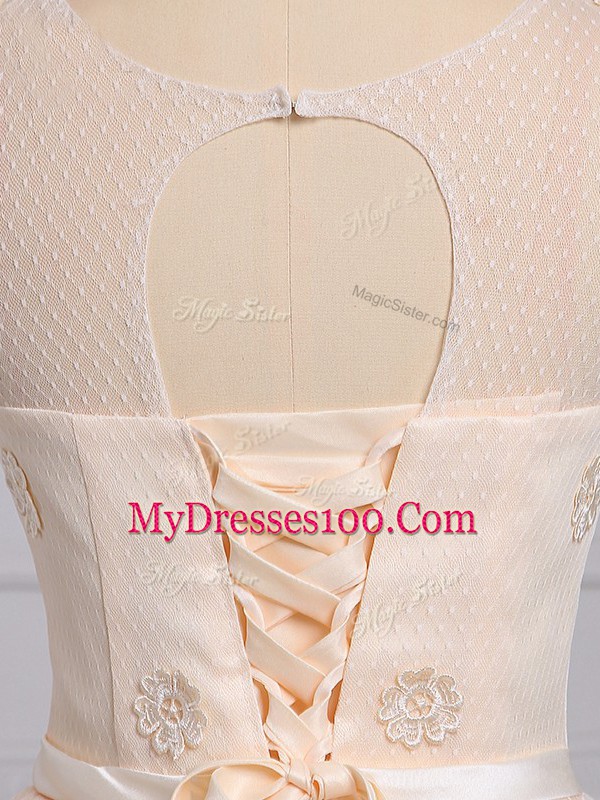 Champagne Lace Lace Up Wedding Guest Dresses Sleeveless Mini Length Appliques and Belt