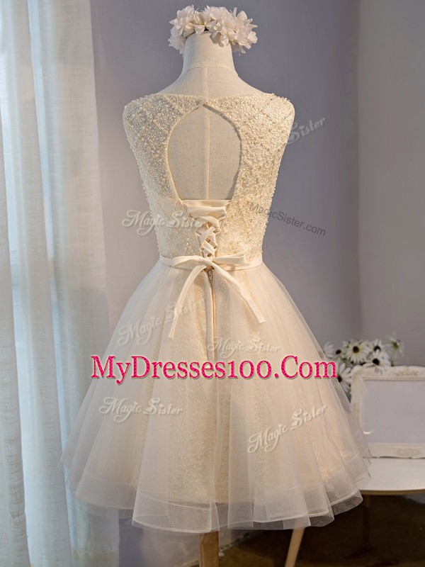 A-line Prom Evening Gown Pink Scoop Tulle Sleeveless Mini Length Lace Up