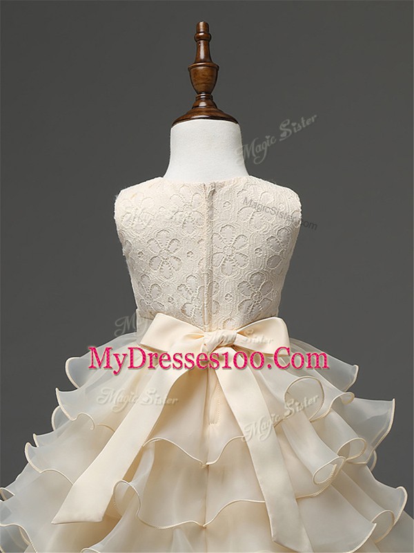 Fancy Baby Pink Sleeveless Organza Zipper Kids Pageant Dress for Wedding Party