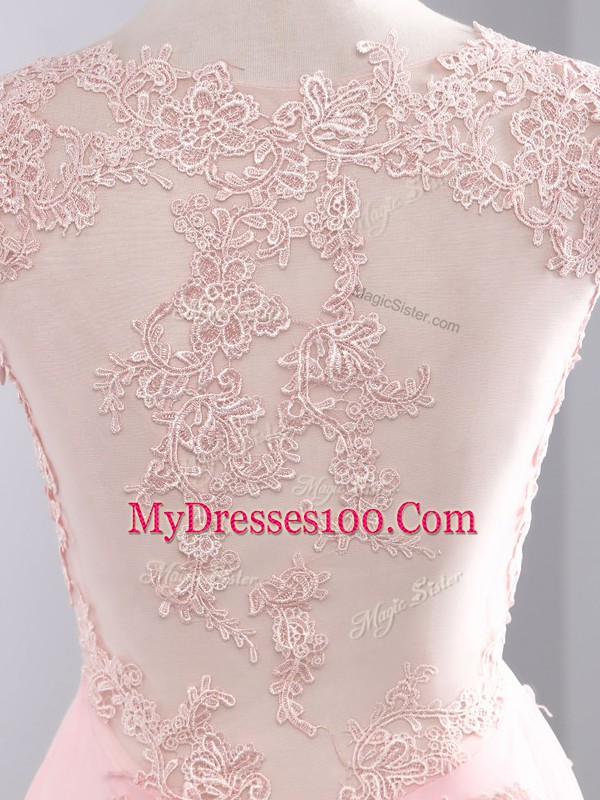 Baby Pink Side Zipper V-neck Appliques Homecoming Gowns Chiffon Sleeveless Brush Train