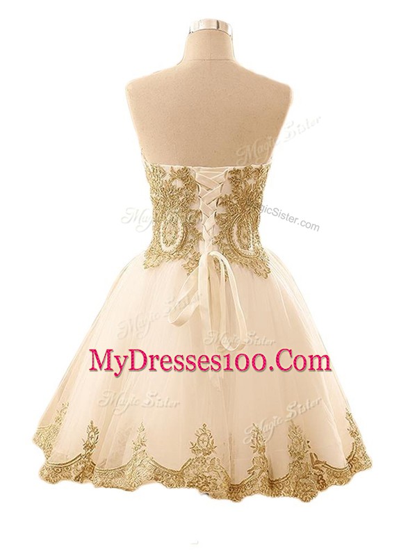 Hot Pink A-line Tulle Sweetheart Sleeveless Appliques Mini Length Lace Up Prom Dresses