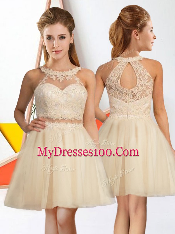 Latest Sleeveless Lace Zipper Court Dresses for Sweet 16
