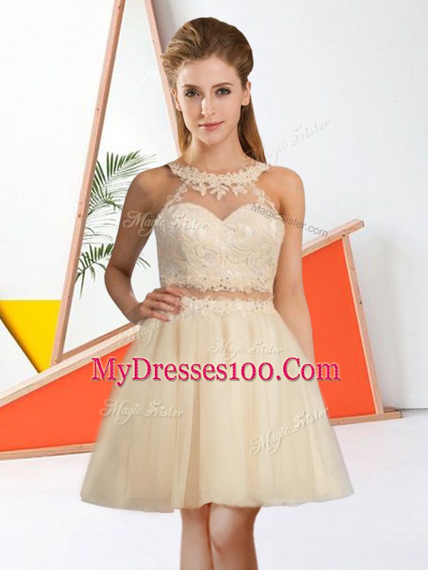 Latest Sleeveless Lace Zipper Court Dresses for Sweet 16