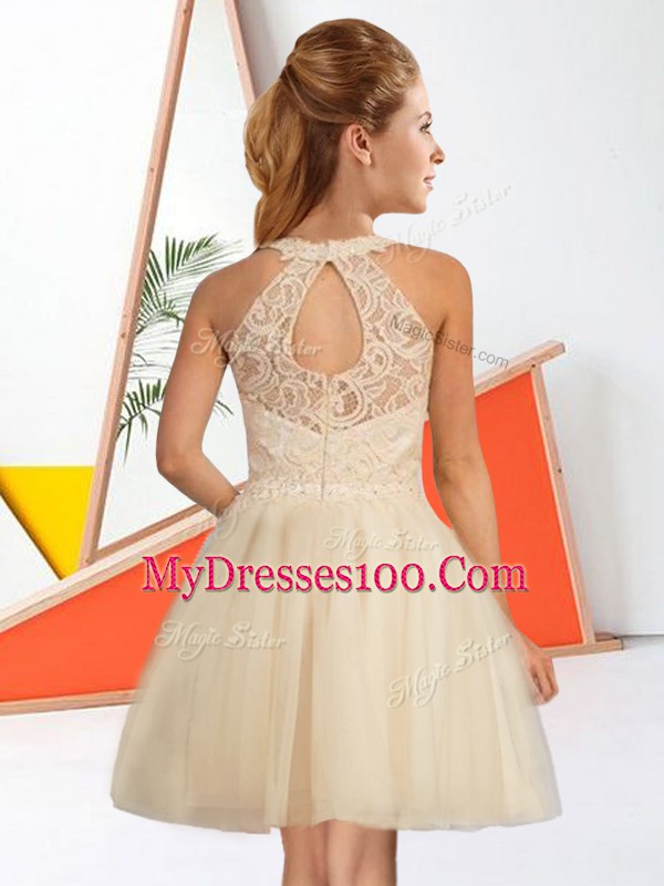 Latest Sleeveless Lace Zipper Court Dresses for Sweet 16