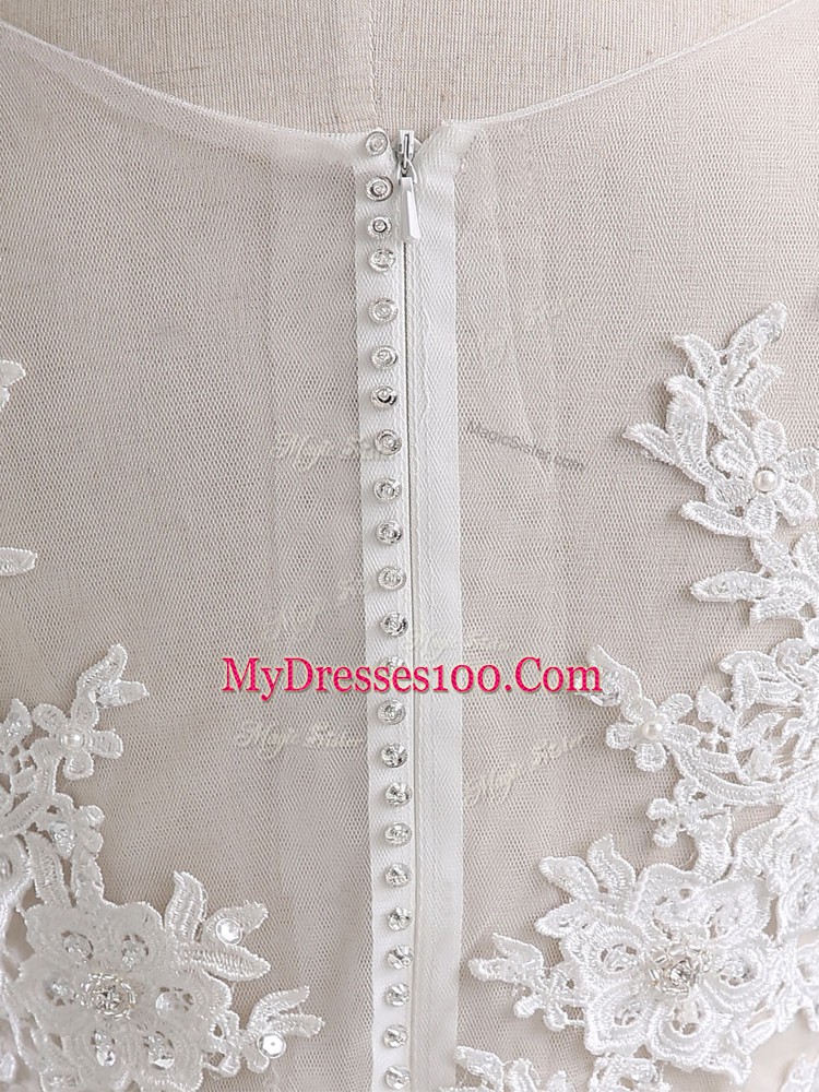 Dazzling Scoop Sleeveless Tulle Wedding Gowns Lace Brush Train Zipper