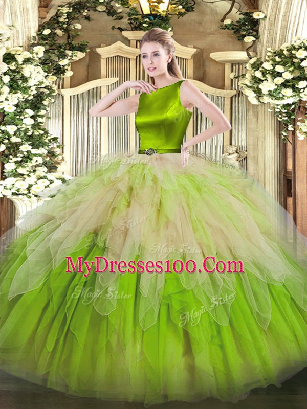 Beautiful Scoop Sleeveless Clasp Handle Vestidos de Quinceanera Multi-color Organza