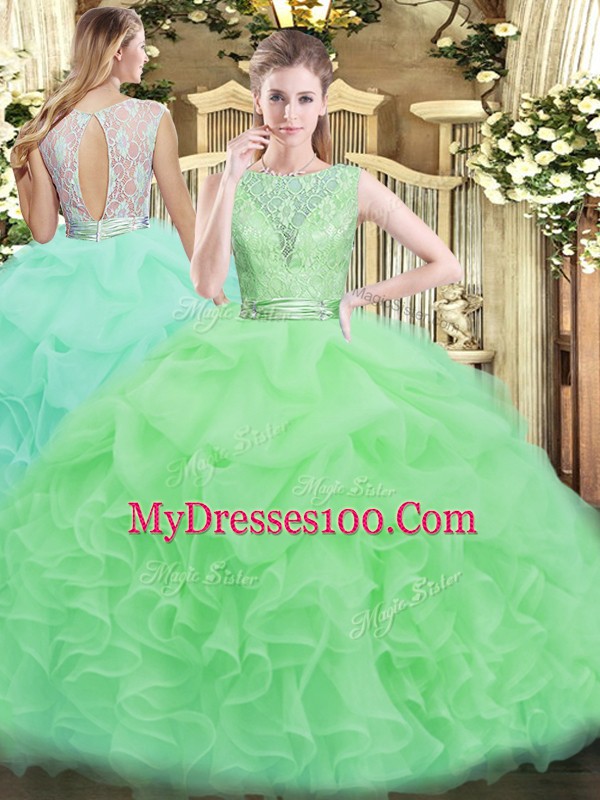 Fitting Scoop Sleeveless Backless 15 Quinceanera Dress Organza