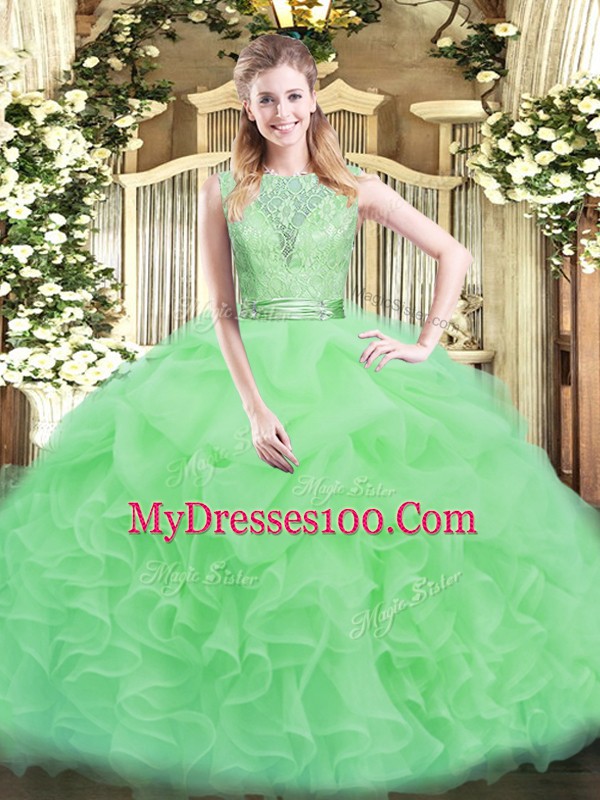 Fitting Scoop Sleeveless Backless 15 Quinceanera Dress Organza