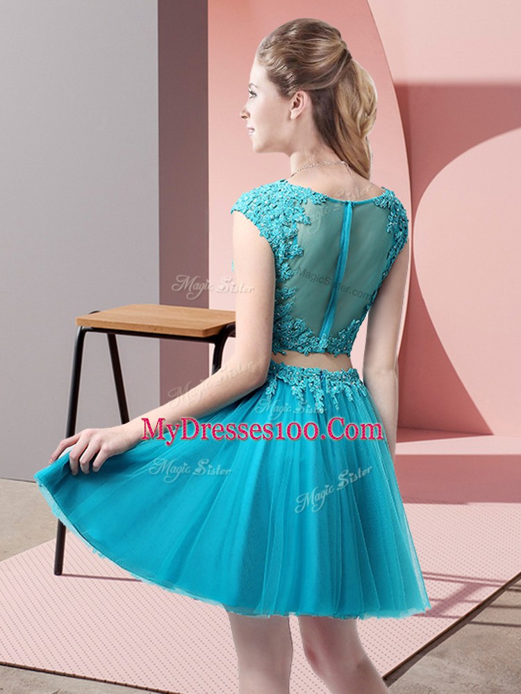 Appliques Evening Dress Baby Blue Zipper Sleeveless Mini Length