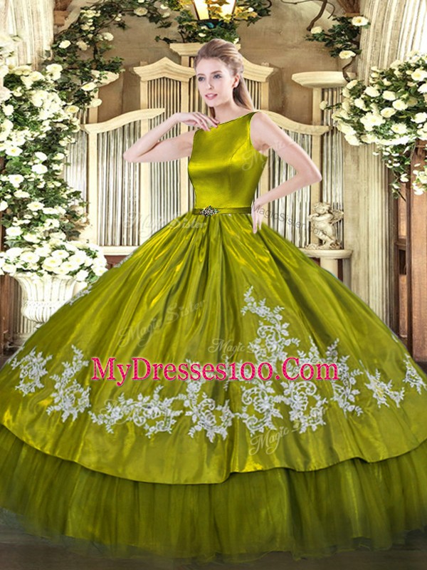 Sleeveless Floor Length Embroidery Clasp Handle 15th Birthday Dress with Olive Green