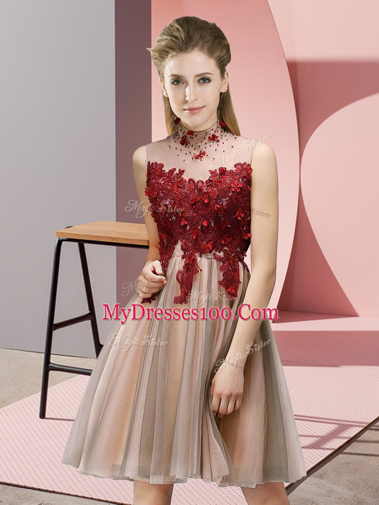 Beautiful High-neck Sleeveless Lace Up Bridesmaid Gown Pink Tulle