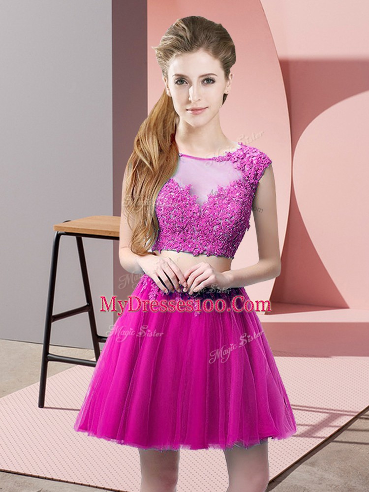 Sleeveless Tulle Mini Length Zipper Homecoming Dress in Fuchsia with Appliques