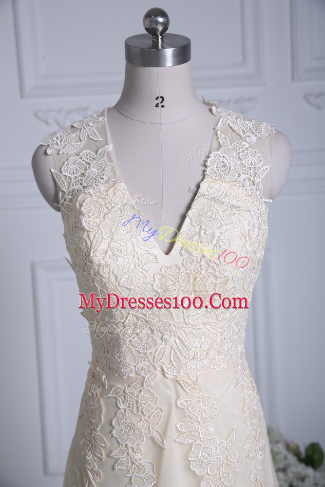 Sleeveless Tulle Brush Train Zipper Prom Gown in Champagne with Lace and Appliques