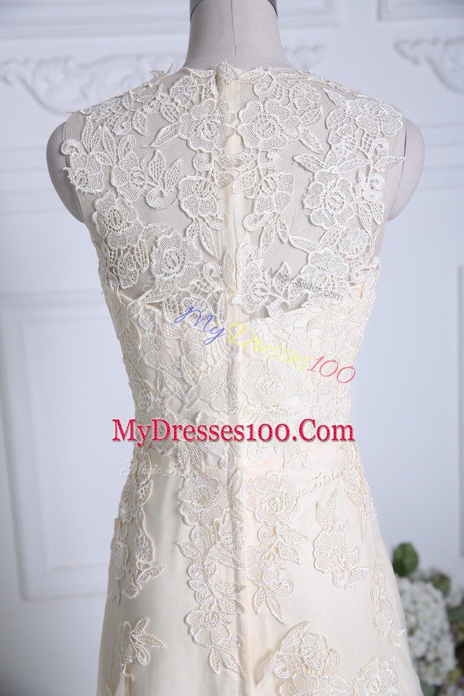 Sleeveless Tulle Brush Train Zipper Prom Gown in Champagne with Lace and Appliques