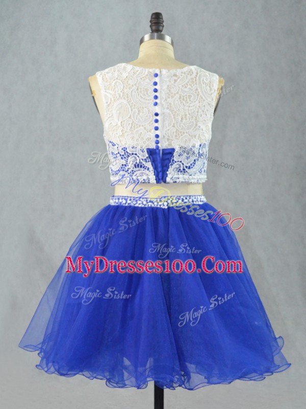 Vintage Royal Blue Zipper Scoop Lace and Appliques Prom Gown Organza Sleeveless