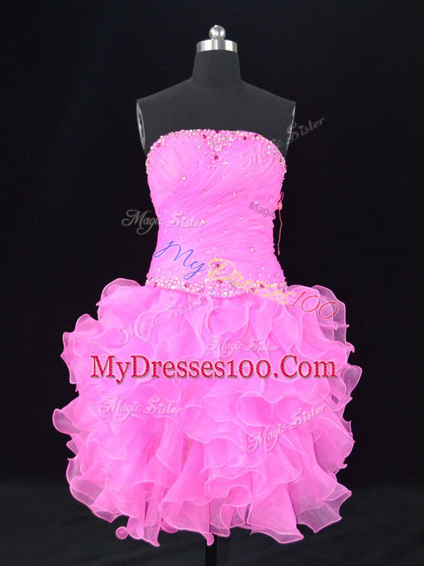 Ideal Ball Gowns Sleeveless Pink Party Dress for Toddlers Lace Up