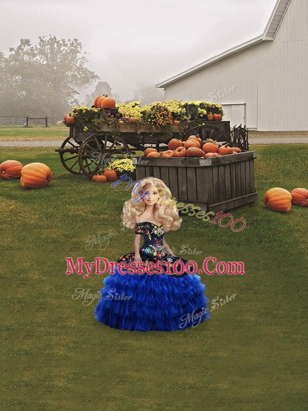 Affordable Organza Sleeveless Floor Length 15th Birthday Dress and Embroidery and Ruffled Layers