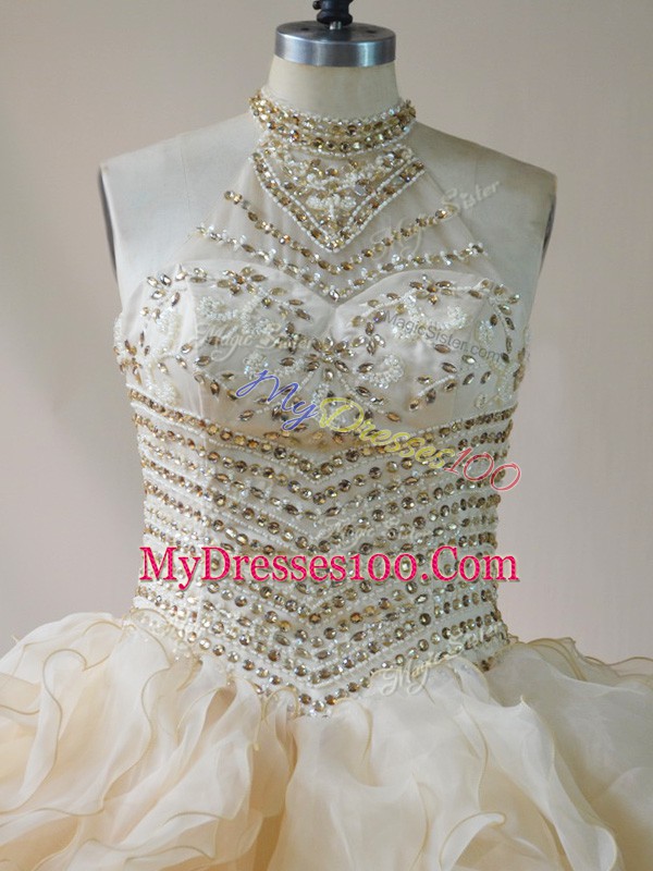 Champagne Sleeveless Organza Lace Up Quince Ball Gowns for Sweet 16 and Quinceanera