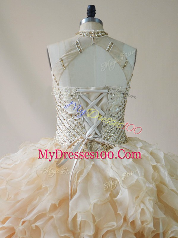 Champagne Sleeveless Organza Lace Up Quince Ball Gowns for Sweet 16 and Quinceanera