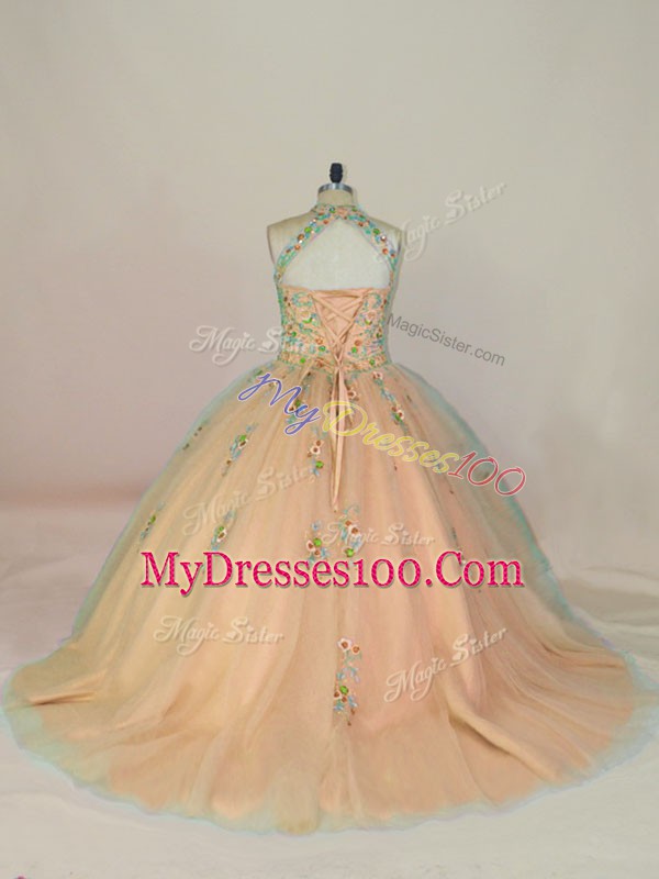 Top Selling Sleeveless Brush Train Lace Up Appliques and Embroidery Sweet 16 Quinceanera Dress