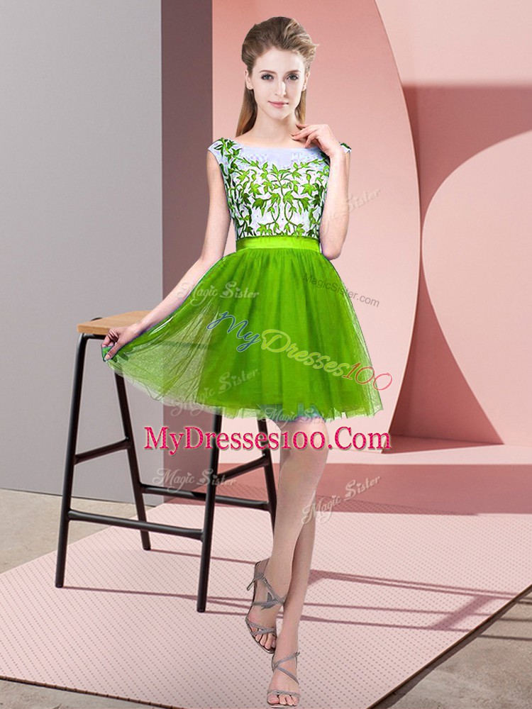 Fantastic Sleeveless Zipper Mini Length Lace Damas Dress