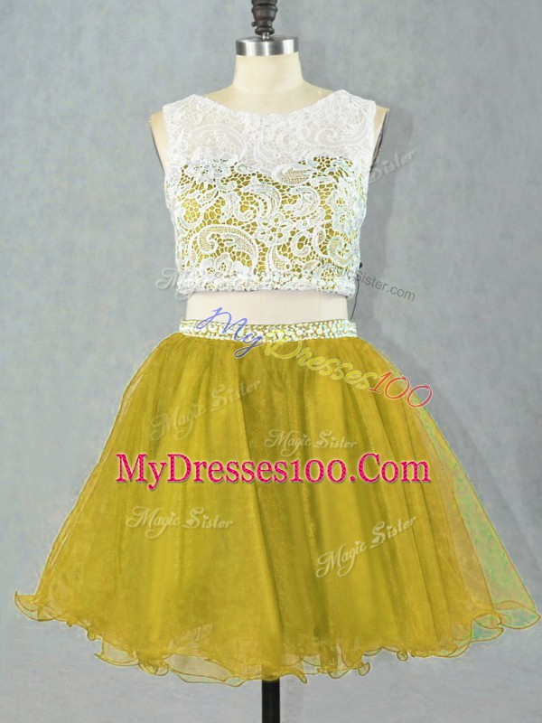 Graceful Two Pieces Olive Green Scoop Organza Sleeveless Mini Length Zipper
