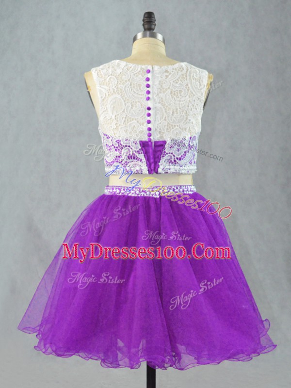 Smart Scoop Sleeveless Prom Evening Gown Appliques Eggplant Purple Organza